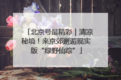 北京号最精彩｜清凉秘境！来京郊邂逅现实版“绿野仙踪”