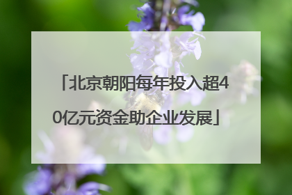 北京朝阳每年投入超40亿元资金助企业发展