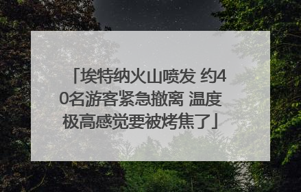埃特纳火山喷发 约40名游客紧急撤离 温度极高感觉要被烤焦了