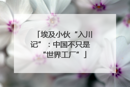 埃及小伙“入川记”：中国不只是“世界工厂”