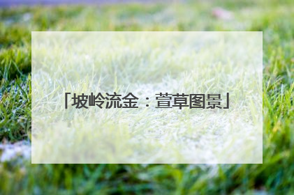 坡岭流金：萱草图景