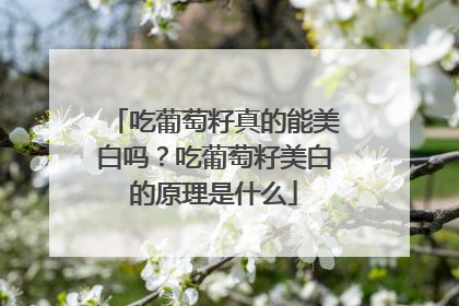 吃葡萄籽真的能美白吗？吃葡萄籽美白的原理是什么