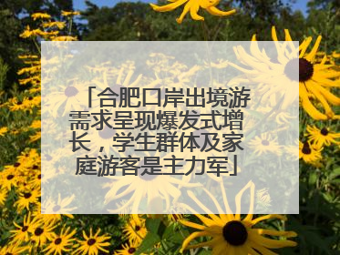 合肥口岸出境游需求呈现爆发式增长，学生群体及家庭游客是主力军