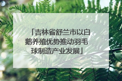 吉林省舒兰市以白鹅养殖优势推动羽毛球制造产业发展