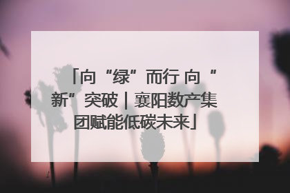 向“绿”而行 向“新”突破｜襄阳数产集团赋能低碳未来