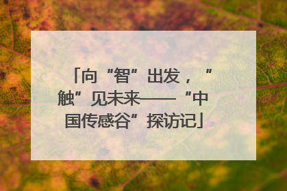 向“智”出发，“触”见未来——“中国传感谷”探访记