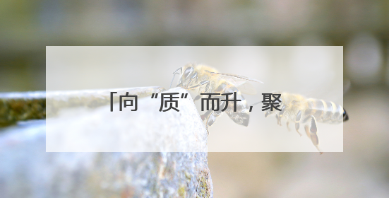 向“质”而升，聚势图强！湖南高速品牌建设再发力
