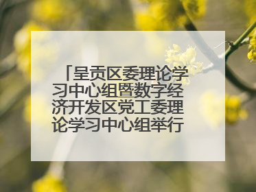 呈贡区委理论学习中心组暨数字经济开发区党工委理论学习中心组举行2025年第七次学习会议