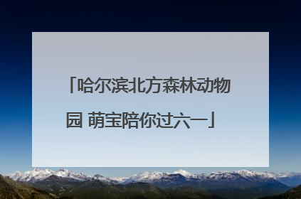 哈尔滨北方森林动物园 萌宝陪你过六一