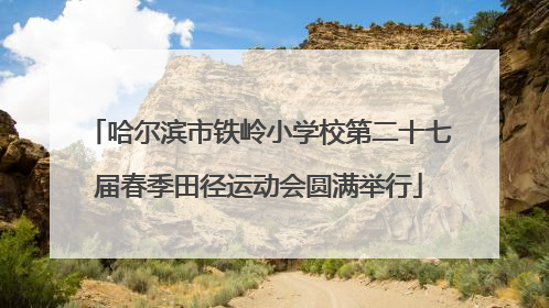 哈尔滨市铁岭小学校第二十七届春季田径运动会圆满举行