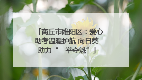 商丘市睢阳区：爱心助考温暖护航 向日葵助力“一举夺魁”
