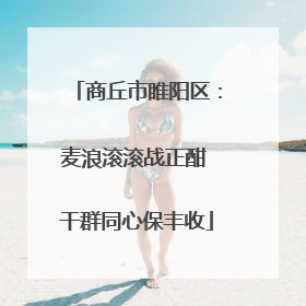 商丘市睢阳区：麦浪滚滚战正酣 干群同心保丰收