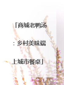商城老鸭汤：乡村美味端上城市餐桌