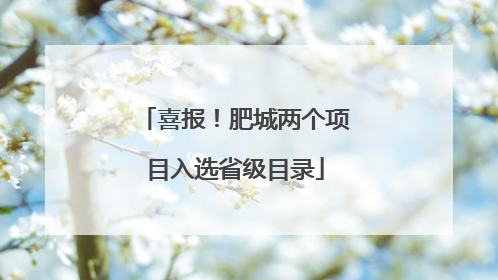喜报！肥城两个项目入选省级目录