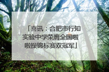 喜讯：合肥市行知实验中学荣膺全国啦啦操锦标赛双冠军