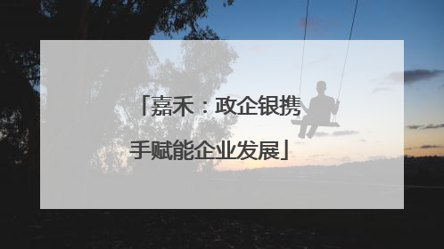 嘉禾：政企银携手赋能企业发展