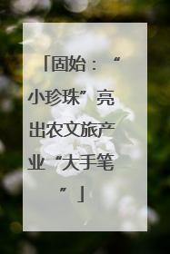 固始：“小珍珠”亮出农文旅产业“大手笔”