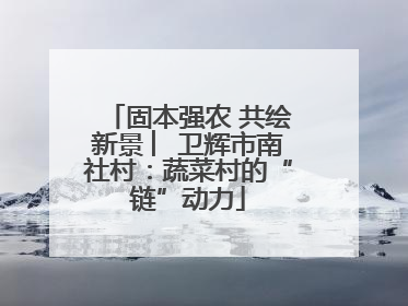 固本强农 共绘新景 ︳卫辉市南社村：蔬菜村的“链”动力