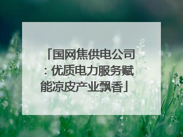 国网焦供电公司：优质电力服务赋能凉皮产业飘香