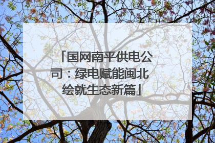 国网南平供电公司：绿电赋能闽北 绘就生态新篇