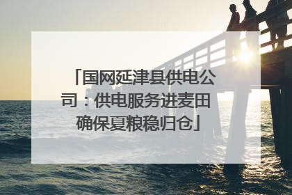 国网延津县供电公司：供电服务进麦田 确保夏粮稳归仓