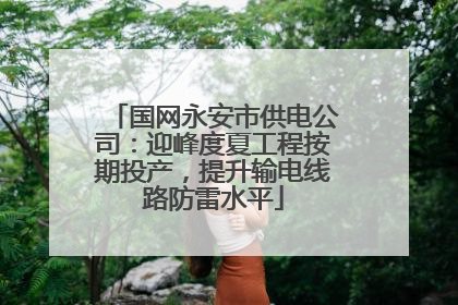 国网永安市供电公司：迎峰度夏工程按期投产，提升输电线路防雷水平