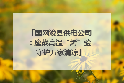 国网浚县供电公司：鏖战高温“烤”验 守护万家清凉