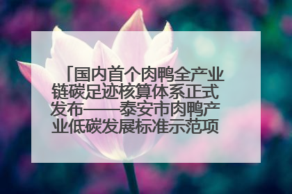 国内首个肉鸭全产业链碳足迹核算体系正式发布——泰安市肉鸭产业低碳发展标准示范项目顺利通过验收