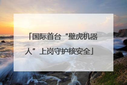 国际首台“壁虎机器人”上岗守护核安全