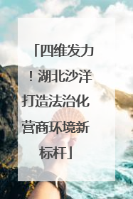 四维发力！湖北沙洋打造法治化营商环境新标杆