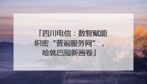 四川电信：数智赋能织密“普遍服务网”，绘就巴蜀新画卷