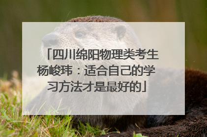 四川绵阳物理类考生杨峻玮：适合自己的学习方法才是最好的