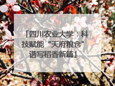 四川农业大学：科技赋能“天府粮仓”谱写稻香新篇