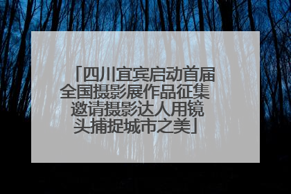 四川宜宾启动首届全国摄影展作品征集 邀请摄影达人用镜头捕捉城市之美