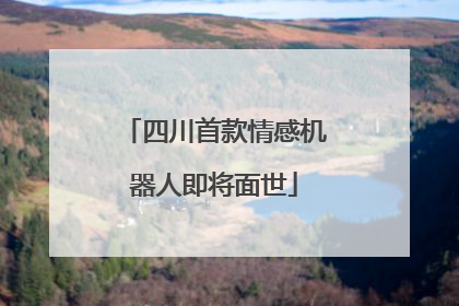 四川首款情感机器人即将面世