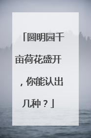 圆明园千亩荷花盛开，你能认出几种？