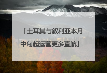 土耳其与叙利亚本月中旬起运营更多直航