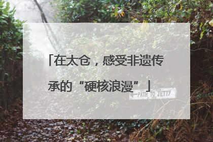 在太仓，感受非遗传承的“硬核浪漫”