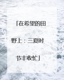 在希望的田野上：三夏时节丰收忙