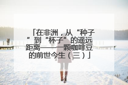 在非洲，从“种子”到“杯子”的遥远距离——一颗咖啡豆的前世今生（三）