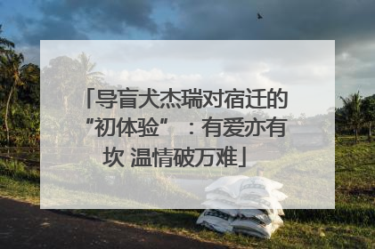导盲犬杰瑞对宿迁的“初体验”：有爱亦有坎 温情破万难