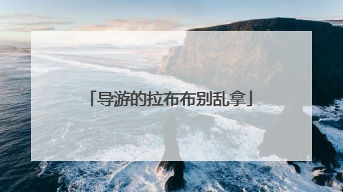 导游的拉布布别乱拿
