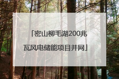 密山柳毛湖200兆瓦风电储能项目并网