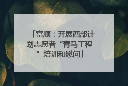 富顺：开展西部计划志愿者“青马工程”培训和慰问