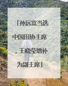 孙远富当选中国田协主席，王晓莹增补为副主席