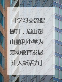学习交流促提升，眉山彭山鹏利小学为劳动教育发展注入新活力