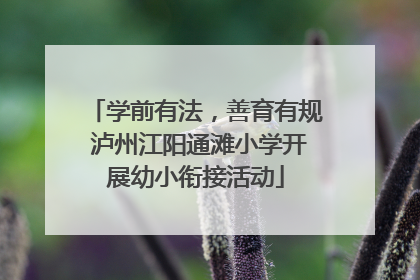 学前有法，善育有规 泸州江阳通滩小学开展幼小衔接活动