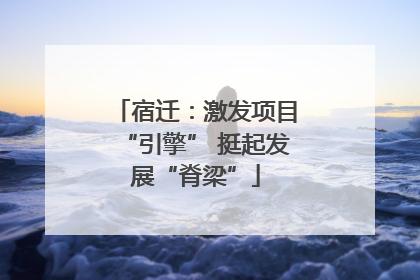 宿迁：激发项目“引擎” 挺起发展“脊梁”