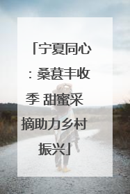 宁夏同心：桑葚丰收季 甜蜜采摘助力乡村振兴