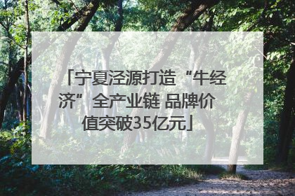 宁夏泾源打造“牛经济”全产业链 品牌价值突破35亿元